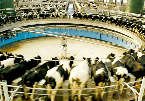 Agriculture