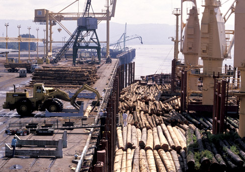 Lumber Industry